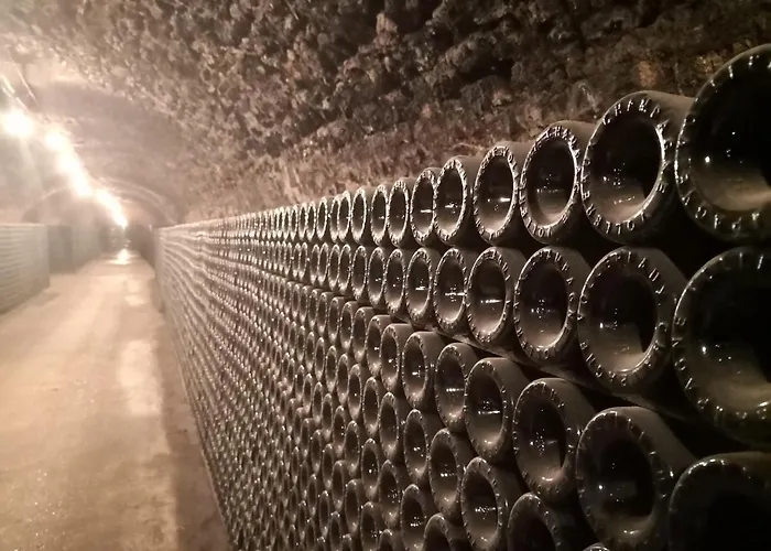 Lägenhet Groom - Jacuzzi & Champagne Épernay